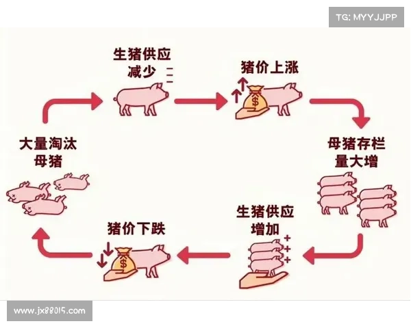 猪场大亨:致富养猪之路 猪场大亨:致富养猪之路